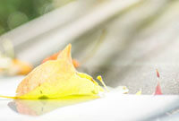 Kalshi与多家大学合作推出教育预测市场