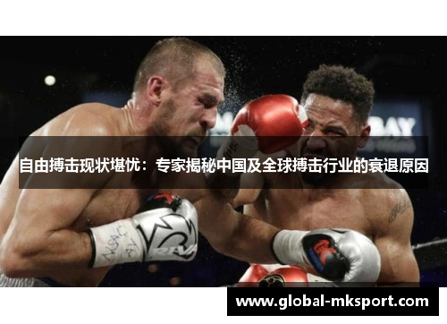 自由搏击现状堪忧：专家揭秘中国及全球搏击行业的衰退原因