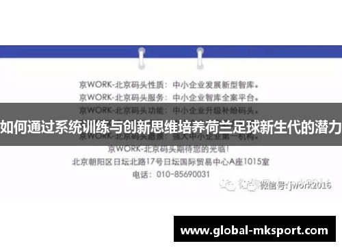 如何通过系统训练与创新思维培养荷兰足球新生代的潜力