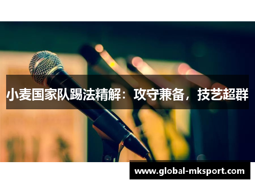 小麦国家队踢法精解:攻守兼备,技艺超群