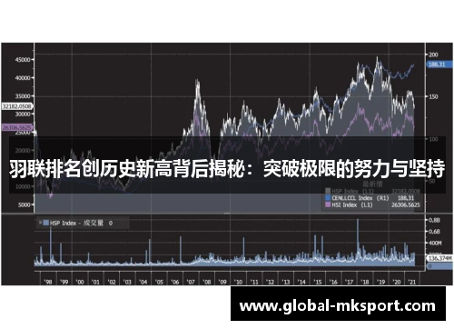 羽联排名创历史新高背后揭秘:突破极限的努力与坚持